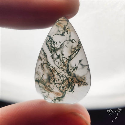 Moss Agate Cabochon