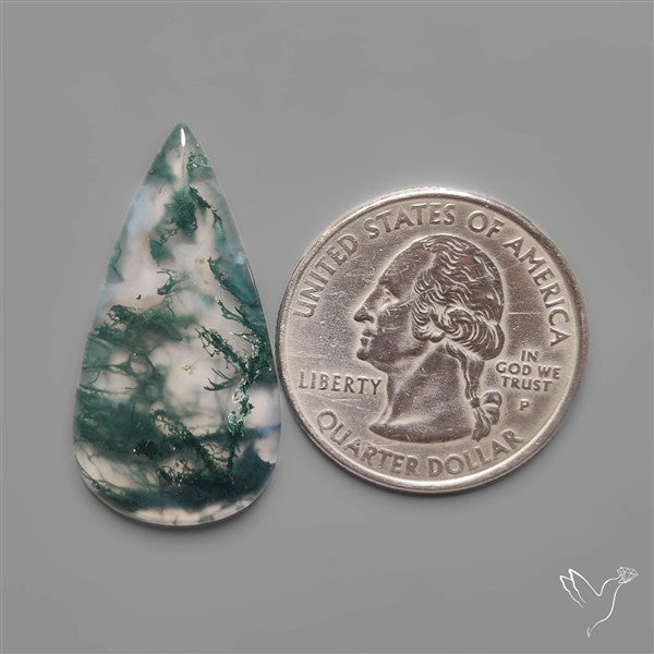 Moss Agate Cabochon
