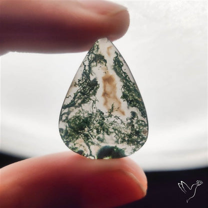 Moss Agate Cabochon