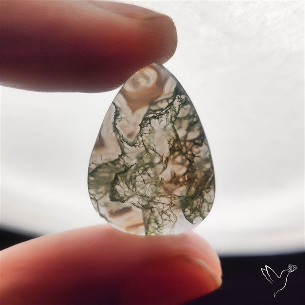 Moss Agate Cabochon