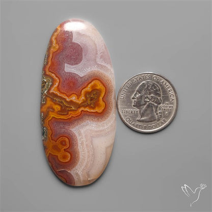 Selected Botryoidal Seam Agate Cabochon