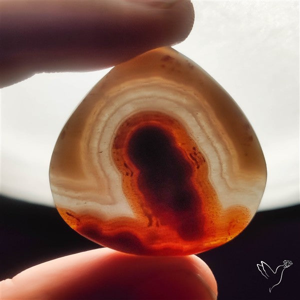 Selected Botryoidal Seam Agate Cabochon