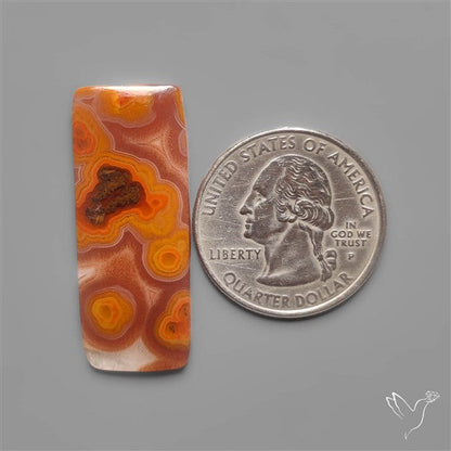 Selected Botryoidal Seam Agate Cabochon
