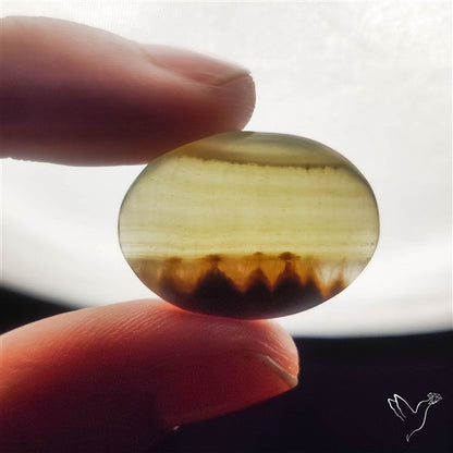 Gemmy Green Calcite Cabochon