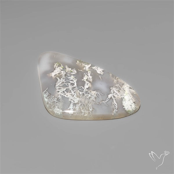 White Horse Canyon Moss Agate Cabochon