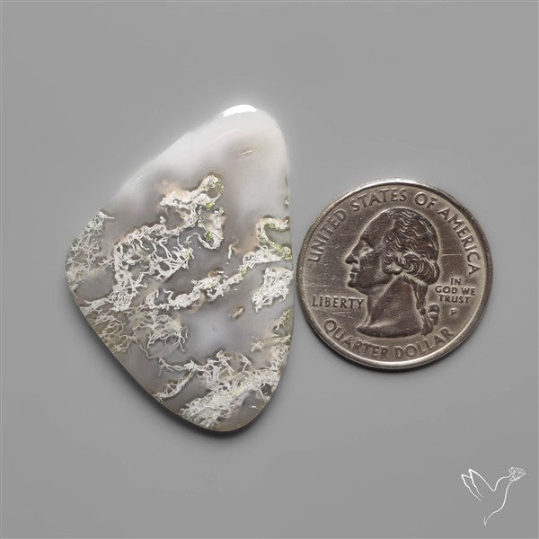 White Horse Canyon Moss Agate Cabochon