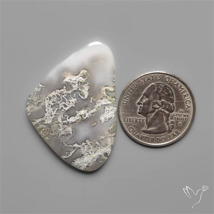 White Horse Canyon Moss Agate Cabochon