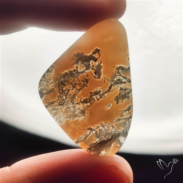 White Horse Canyon Moss Agate Cabochon