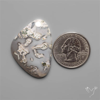 White Horse Canyon Moss Agate Cabochon