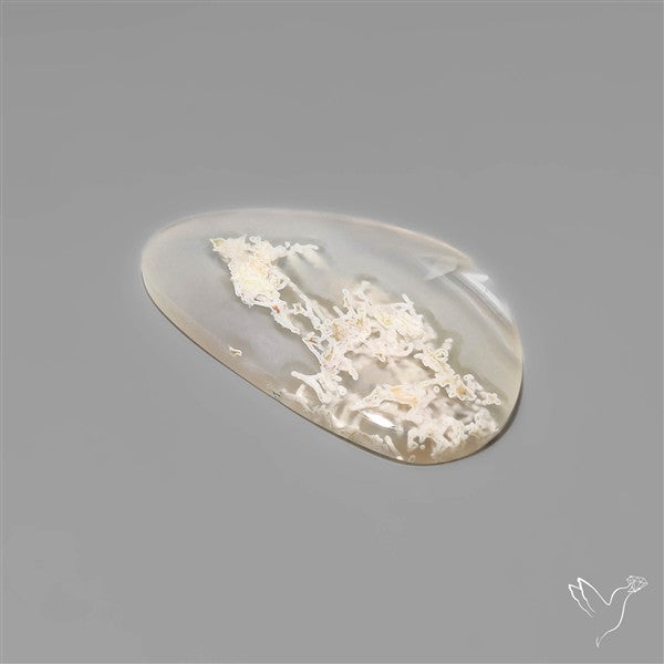 White Horse Canyon Moss Agate Cabochon