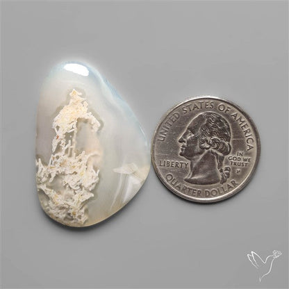 White Horse Canyon Moss Agate Cabochon