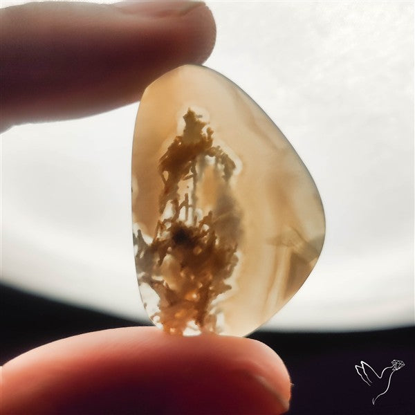 White Horse Canyon Moss Agate Cabochon