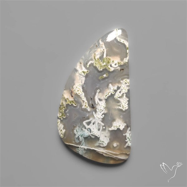 White Horse Canyon Moss Agate Cabochon