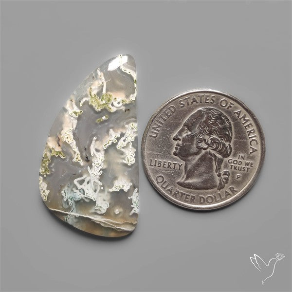White Horse Canyon Moss Agate Cabochon