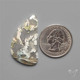 White Horse Canyon Moss Agate Cabochon