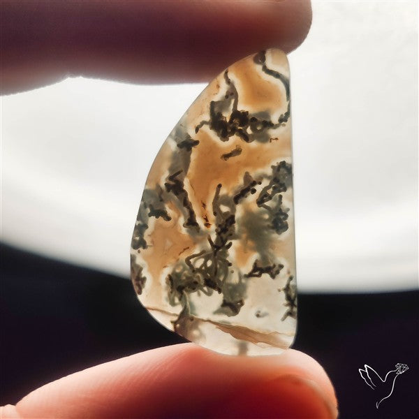 White Horse Canyon Moss Agate Cabochon