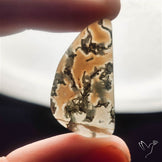 White Horse Canyon Moss Agate Cabochon