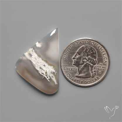 White Horse Canyon Moss Agate Cabochon
