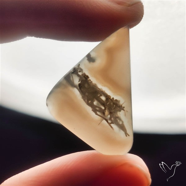 White Horse Canyon Moss Agate Cabochon