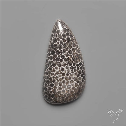 Black Fossil Coral Cabochon