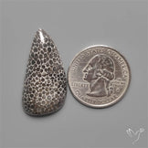 Black Fossil Coral Cabochon
