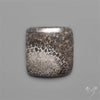 Black Fossil Coral Cabochon
