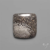 Black Fossil Coral Cabochon
