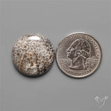 Black Fossil Coral Cabochon