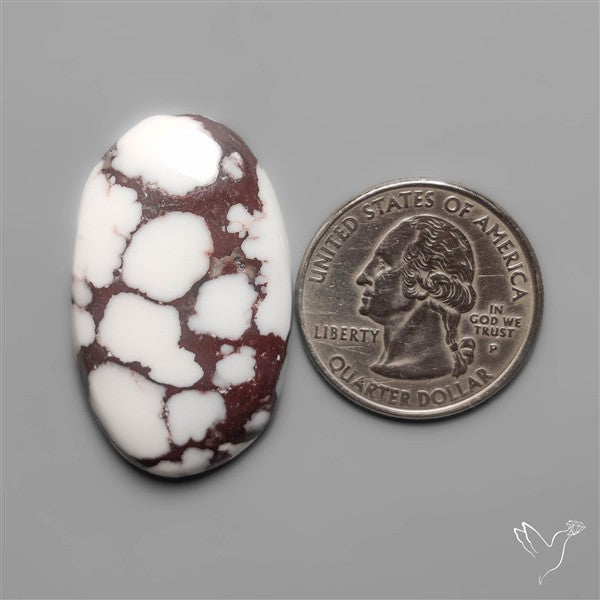 Wild Horse Jasper Cabochon