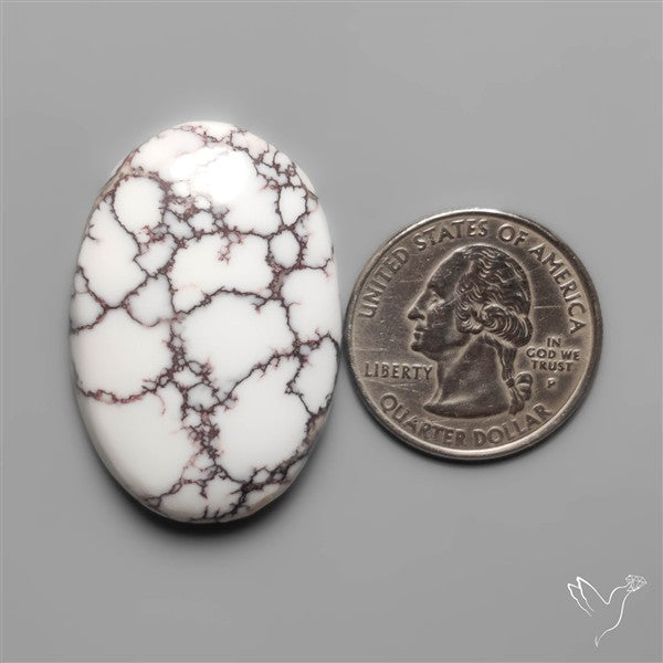 Wild Horse Jasper Cabochon