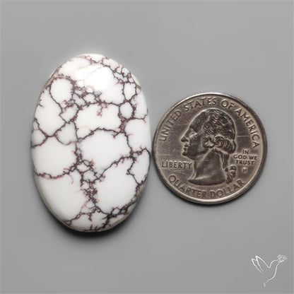 Wild Horse Jasper Cabochon