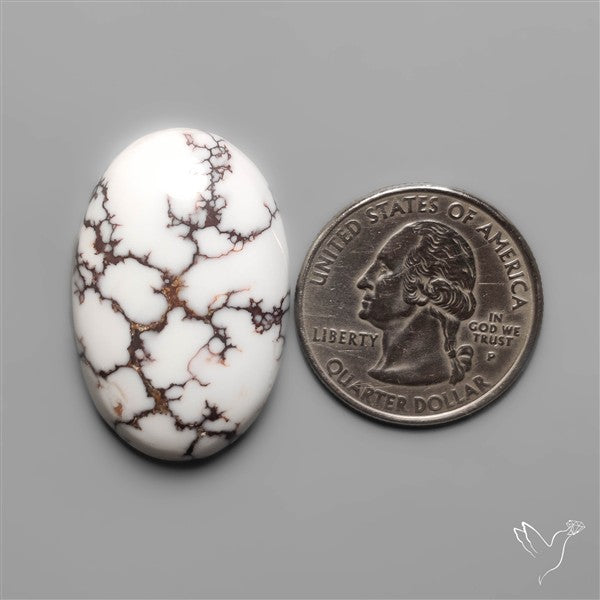 Wild Horse Jasper Cabochon