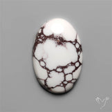 Wild Horse Jasper Cabochon