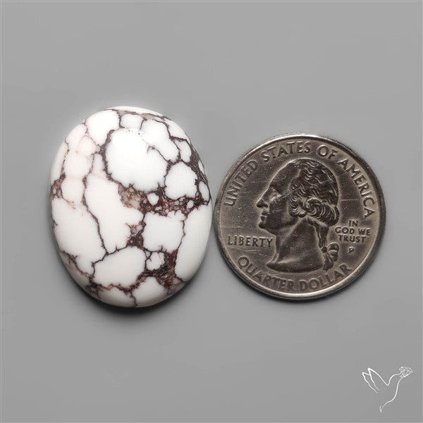 Wild Horse Jasper Cabochon