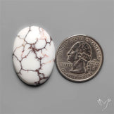 Wild Horse Jasper Cabochon