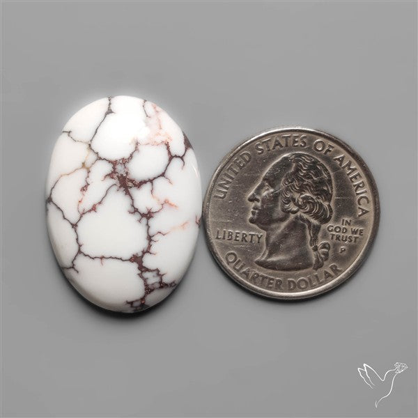 Wild Horse Jasper Cabochon