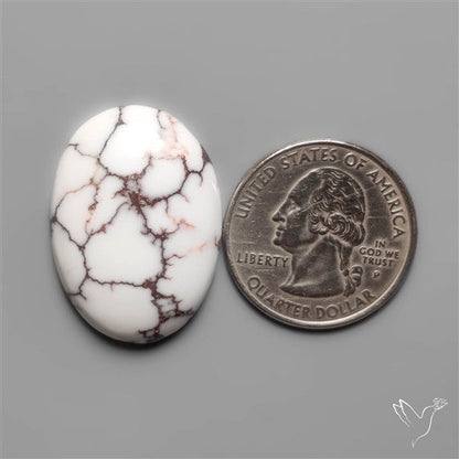 Wild Horse Jasper Cabochon
