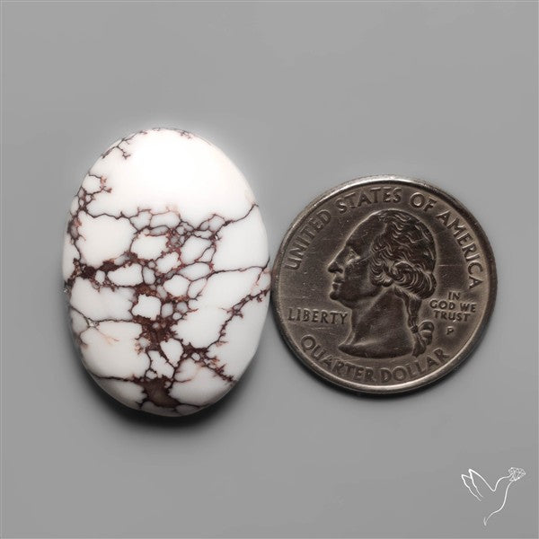 Wild Horse Jasper Cabochon