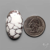 Wild Horse Jasper Cabochon