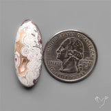 Laguna Lace Agate Cabochon