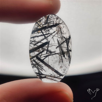 Black Tourmalinated Quartz Cabochon