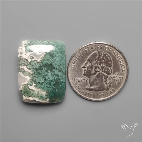 Moss Agate Cabochon