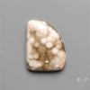 Orbicular Ocean Jasper Cabochon