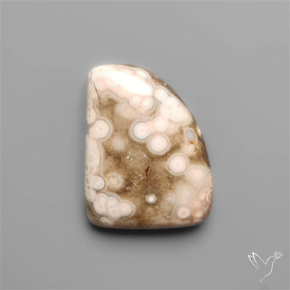 Orbicular Ocean Jasper Cabochon