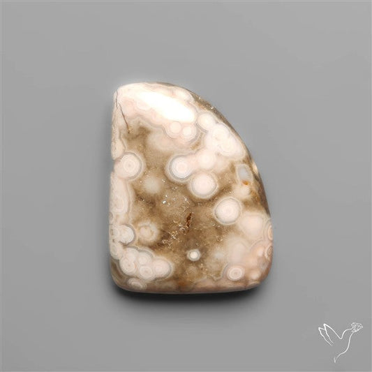 Orbicular Ocean Jasper Cabochon