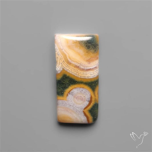 Orbicular Ocean Jasper Cabochon