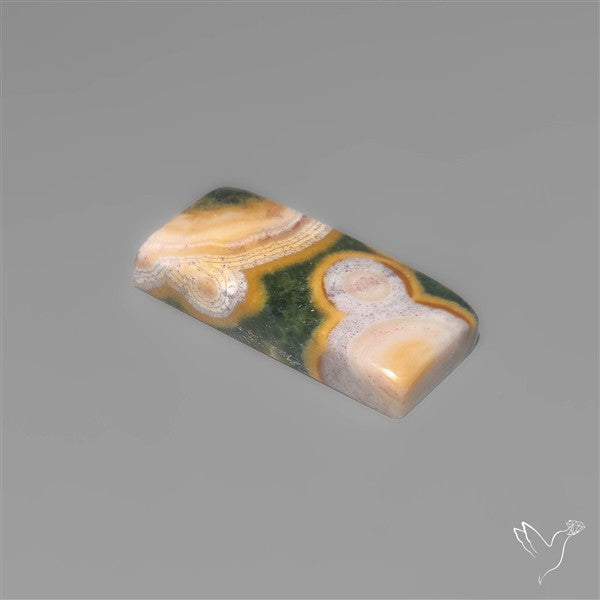 Orbicular Ocean Jasper Cabochon