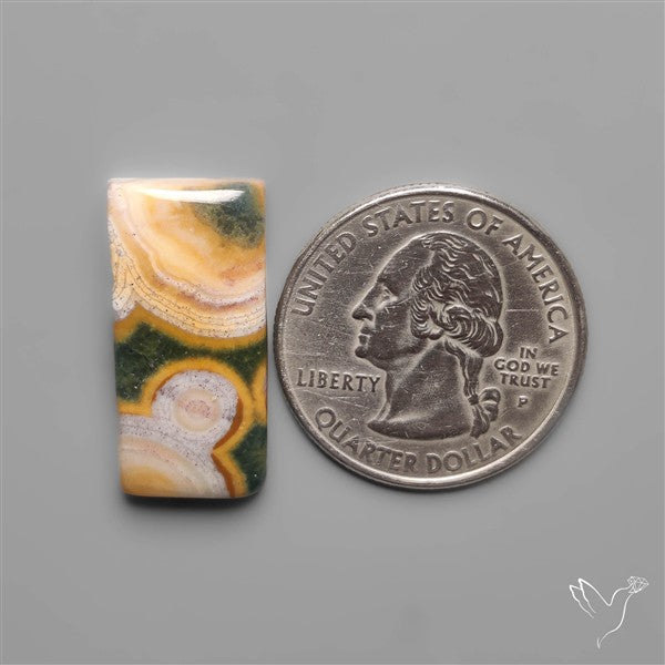 Orbicular Ocean Jasper Cabochon