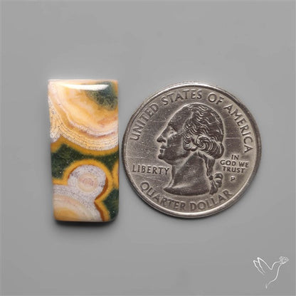 Orbicular Ocean Jasper Cabochon