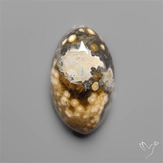 Orbicular Ocean Jasper Cabochon